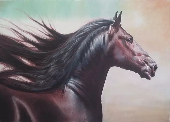 Robert Chełchowski - Fryzyjczyk brown