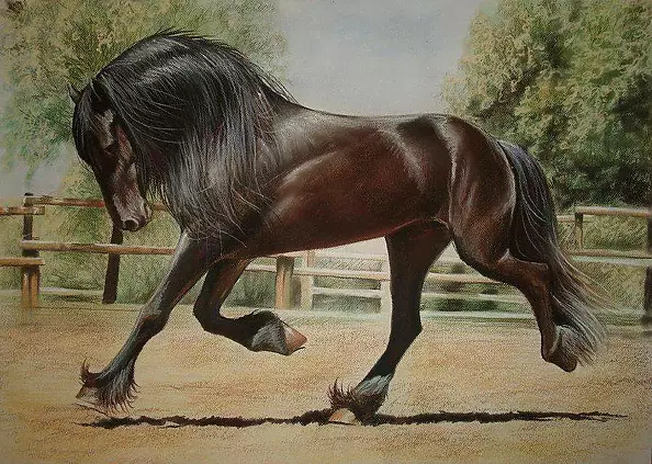 Robert Chełchowski - Frisian new version