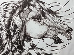 Anna Zarzycka - Fury