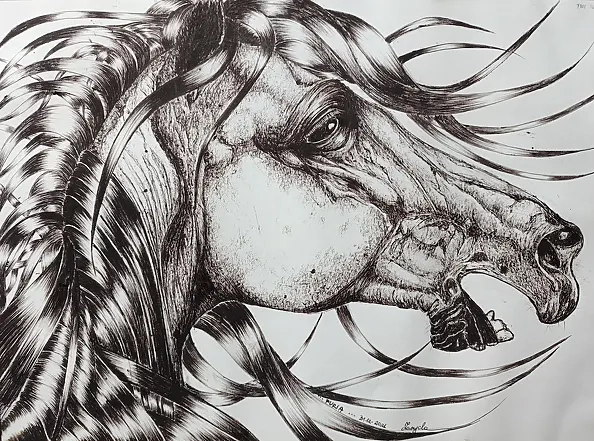 Anna Zarzycka - Fury