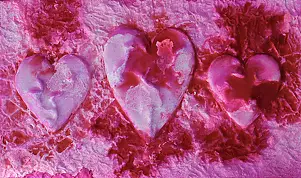 Rachel McCullock - Fushsia Hearts