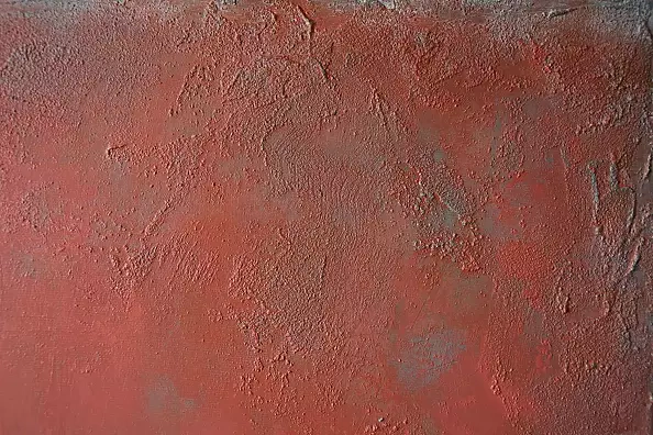 Kamila Ossowska - Fusion