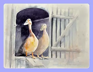   - GĘSI UŚMIECHNIĘTE