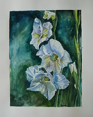 Magdalena Szymanska - GLADIOLA
