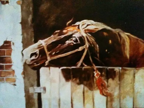 Marek Kubski - HORSE HEAD 1,981 years ..WIEDEŃ