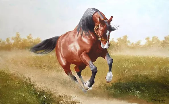 Marek Szczepaniak - Galop