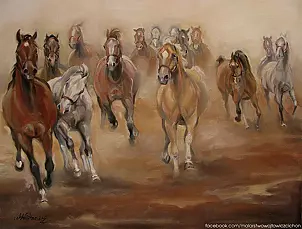 Małgorzata Wójtowicz Cichoń - Gallop