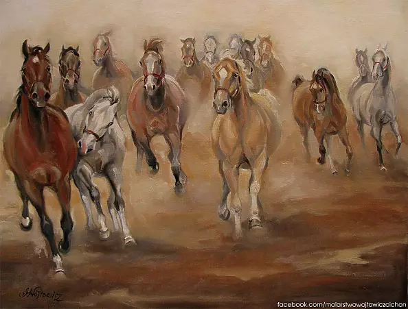 Małgorzata Wójtowicz Cichoń - Gallop