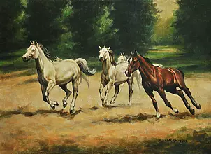   - Gallop in the green