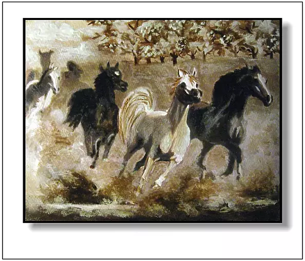 Jolanta Dusza - Whirl through the mud