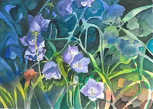 Zdzisław Rutkowski - Dzwonki ogrodowe