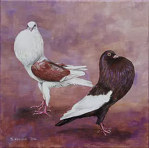 Katarzyna Niemczak - blunderbusses