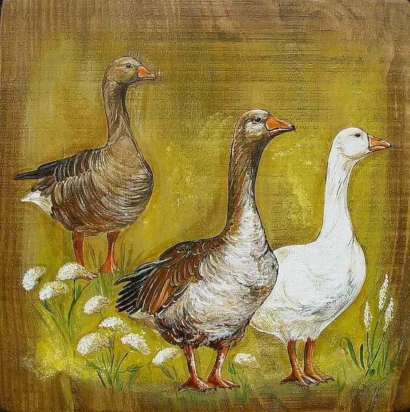 Katarzyna Niemczak - Gaski three ...