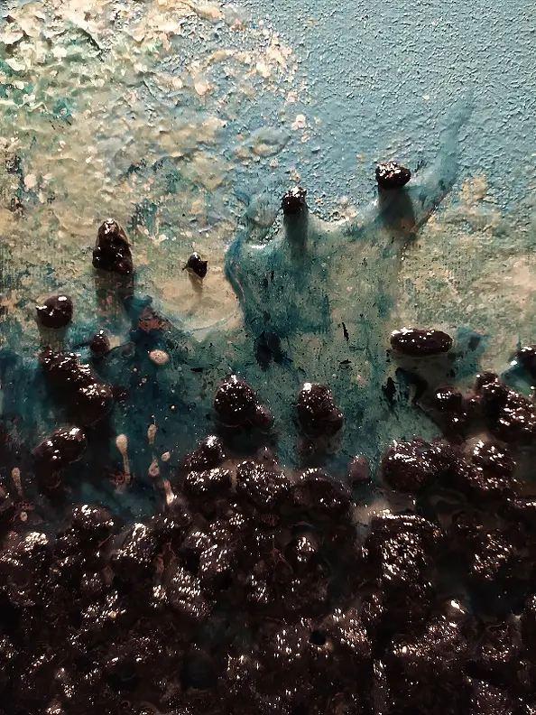 Aleksander Bednarski - Genesis