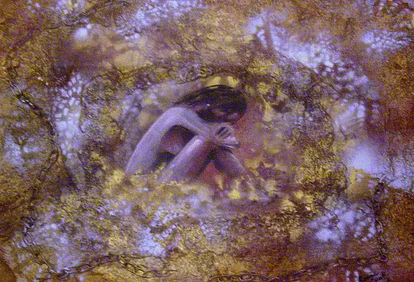 Romina Rossoli - gennaio