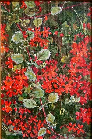 Katarzyna Kogutowicz - Pelargonie