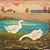 Barbara Michałowska - geese