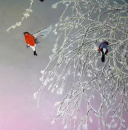 Iwa Kruczkowska Król - Gile