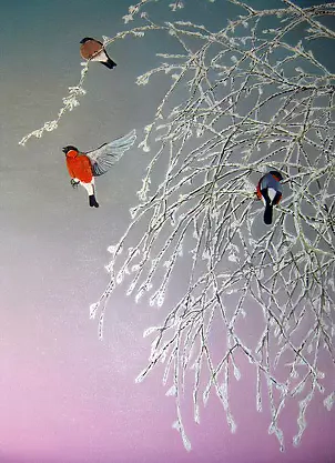 Iwa Kruczkowska Król - Gile