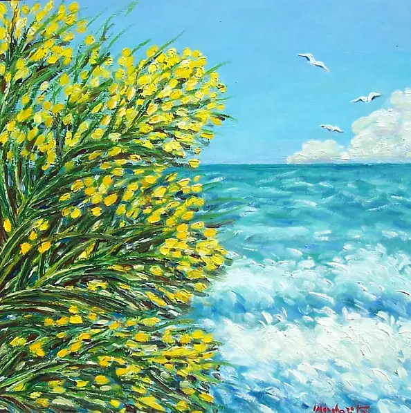 Margherita Biondi - Ginestra and Punta Bianca