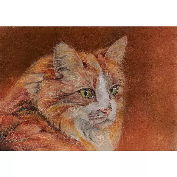 Jowita Szmigiero - Ginger Siberian