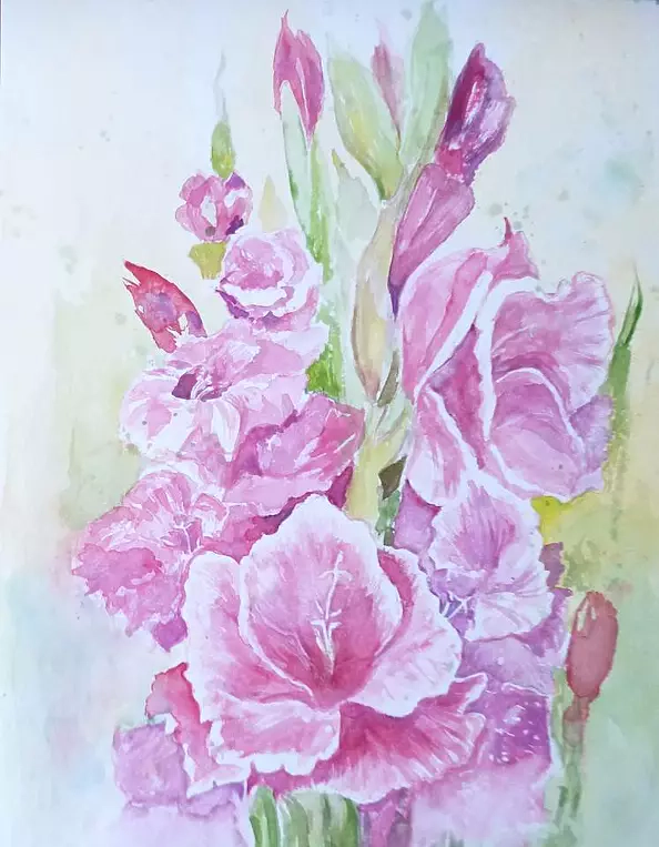 Wieter Wieter - Gladiole