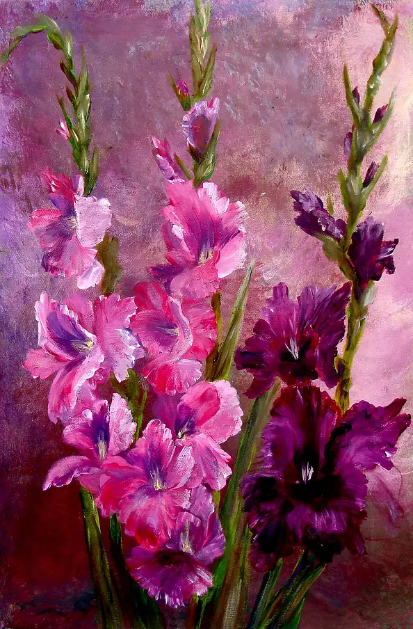 Małgorzata Mutor - Mieczyki