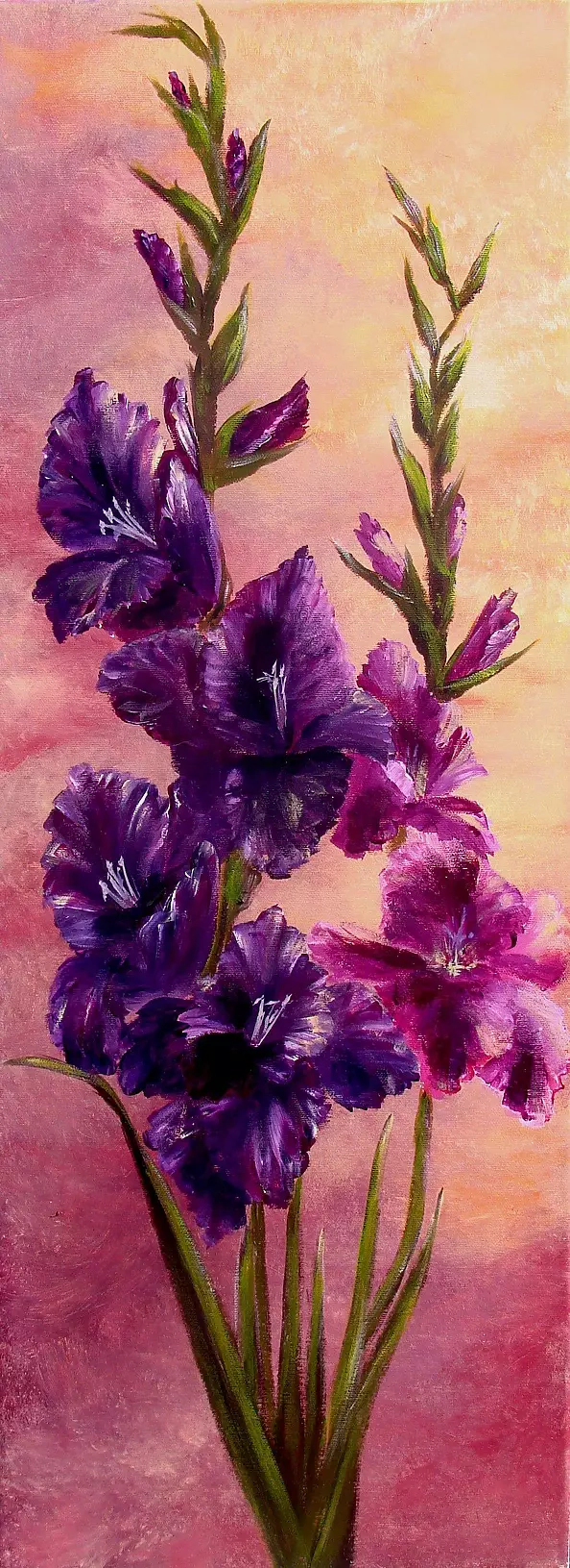 Małgorzata Mutor - gladioli