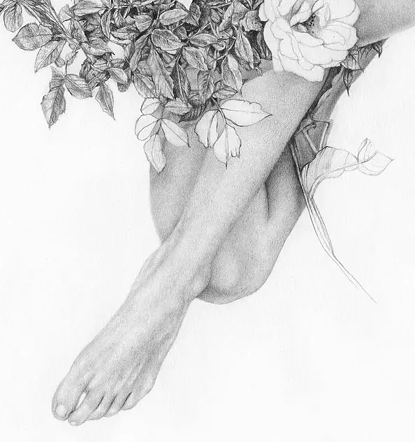 Agnieszka Osak - Głos Ciszy