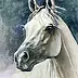 Andrzej Hamera - Głowa konia 16