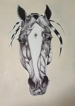 Anna Zarzycka - Horse head