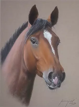 Jarosław Jędrzejski - horse head