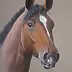 Jarosław Jędrzejski - horse head