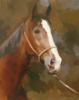 Krzysztof Tracz - horse head