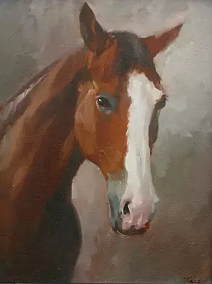 Krzysztof Tracz - horse head