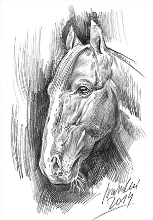 Piotr Promiński - horse head