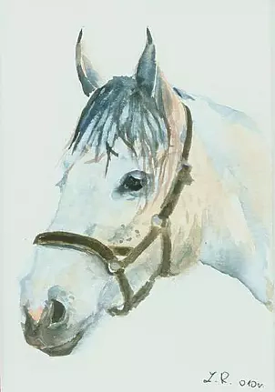 Zdzisław Rutkowski - Głowa konia