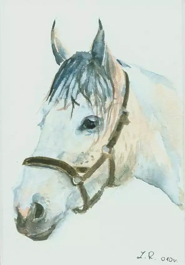 Zdzisław Rutkowski - Głowa konia