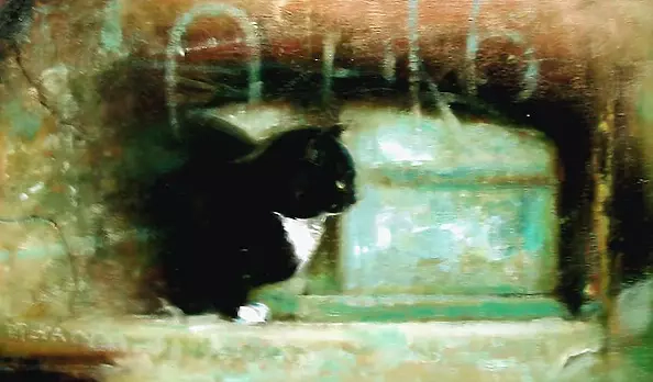 Piotr Pilawa - Głowa kota