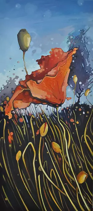   - Głównie błękit i Mak