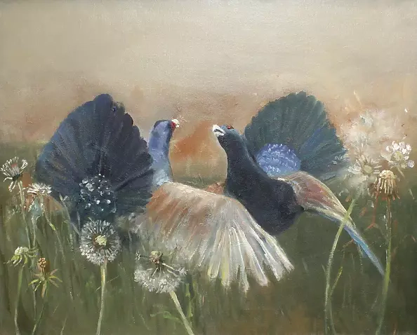 Danuta Drzewiecka - wood grouse