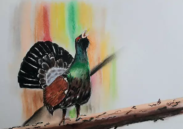 Zdzisław Rutkowski - Głuszec III