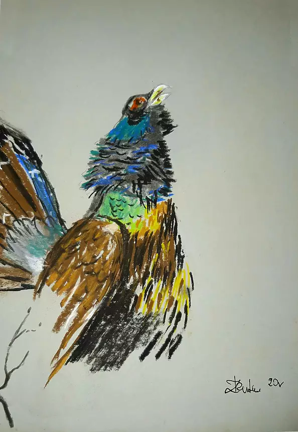 Zdzisław Rutkowski - The capercaillie II