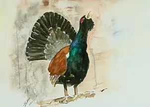 Zdzisław Rutkowski - Głuszec