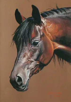   - Bay from Michałów