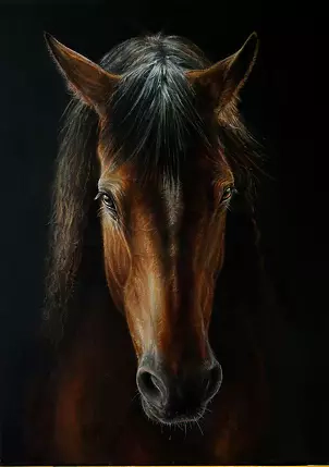 Marzena Zuk - Gniadosz