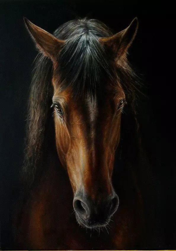 Marzena Zuk - Gniadosz