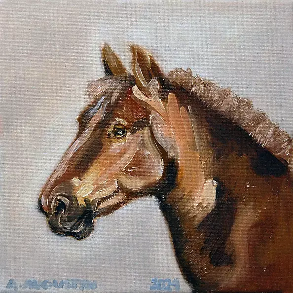 Amelia Augustyn - Bay