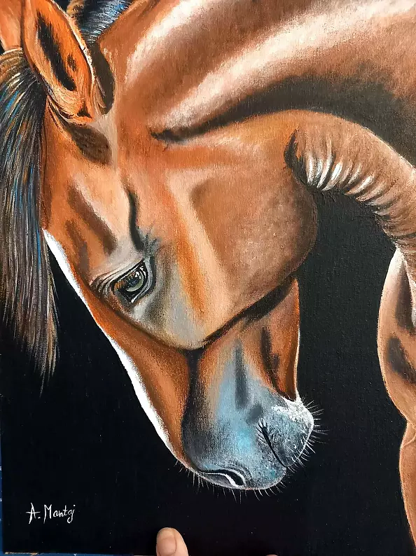 Agnieszka Mantaj - bay horse