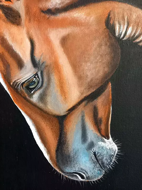 Agnieszka Mantaj - bay horse